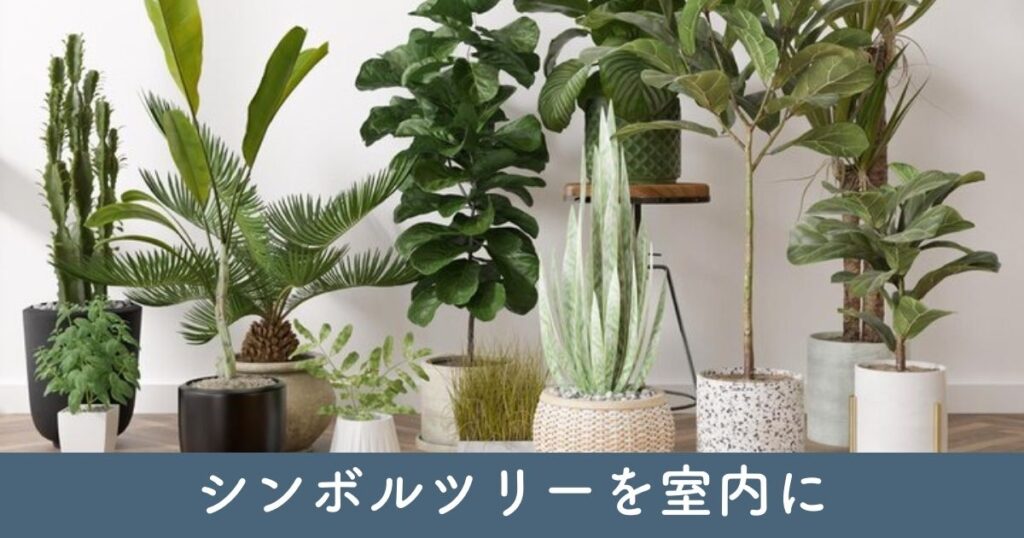 シンボルツリーを室内に：室内でも楽しめる植物たち