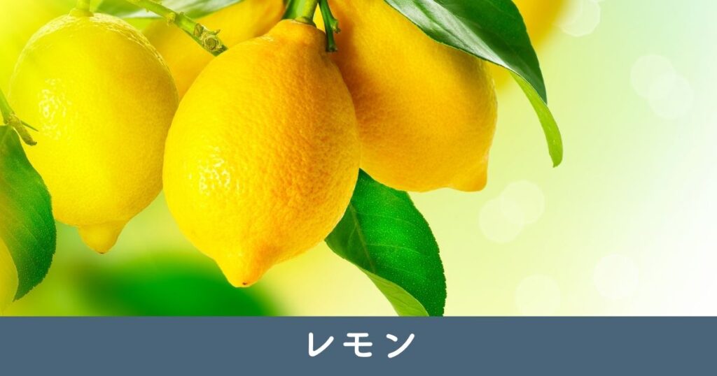 レモン：酸っぱい果実と白い花の低木