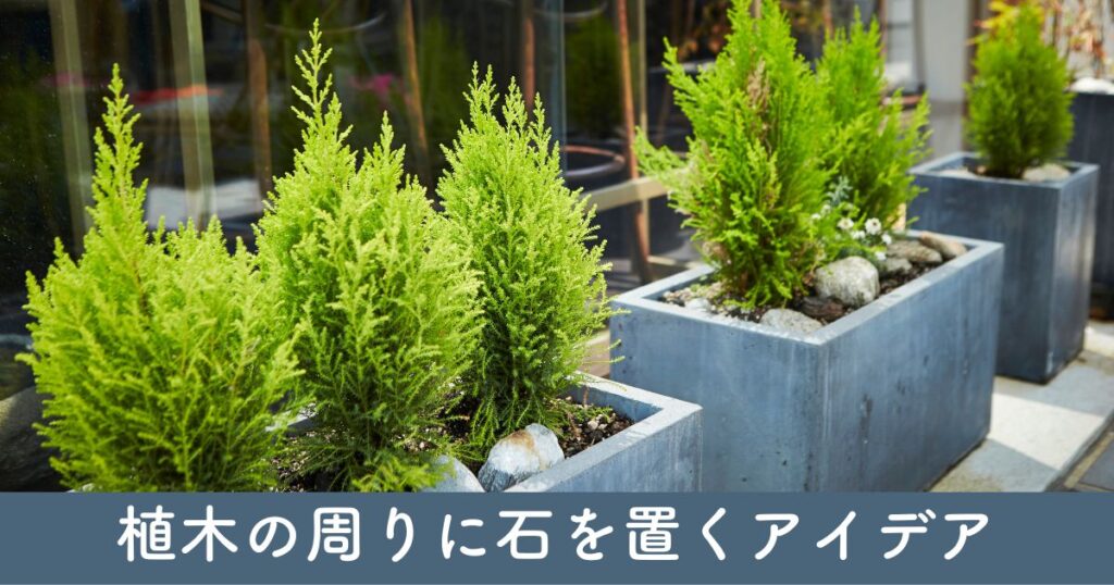 植木の周りに石を置くデザインのアイデア