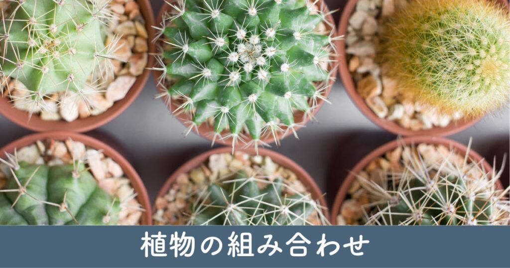 美観と耐久性を考えた植物の組み合わせ