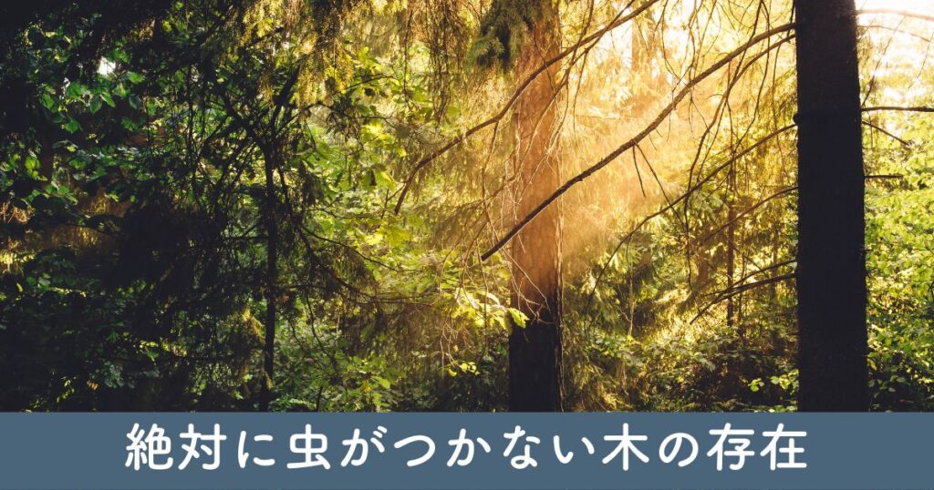 絶対に虫がつかない木の存在：真実と誤解