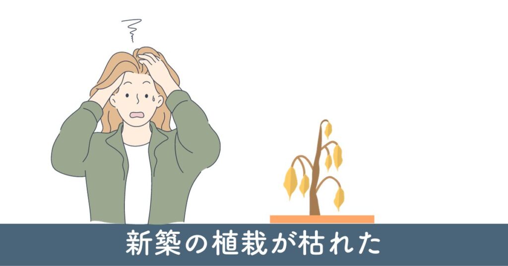 新築の植栽が枯れた!?原因と対策