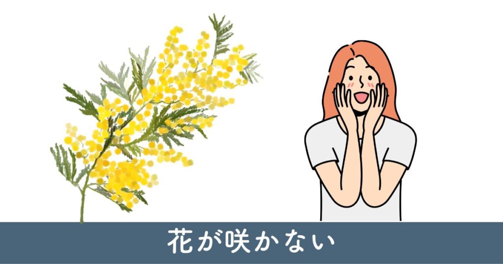 庭木の花が咲かない：原因と改善策