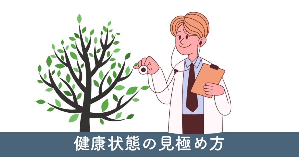 植栽の健康状態の見極め方