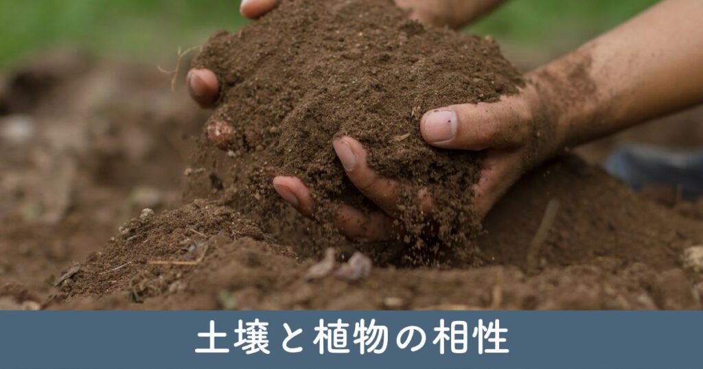 土壌と植物の相性を理解する