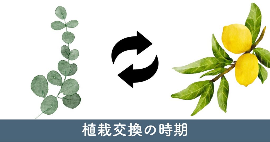 植栽交換の時期と業者選びのコツ