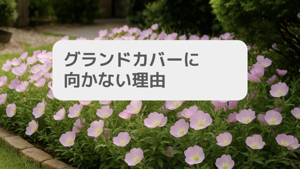グランドカバーに向かない理由