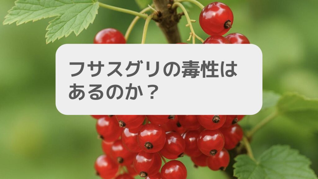 フサスグリの毒性はあるのか？