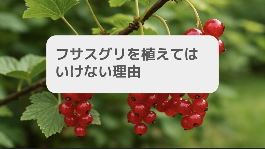 フサスグリを植えてはいけない理由