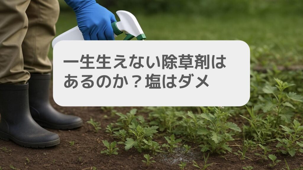 一生生えない除草剤はあるのか？塩はダメ