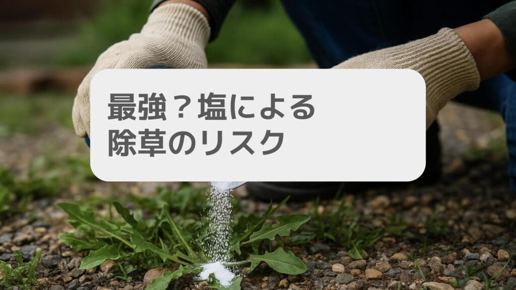 最強 塩による除草のリスク