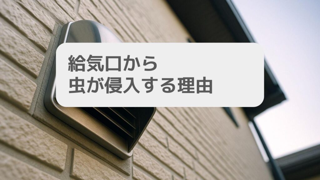 給気口から虫が侵入する理由