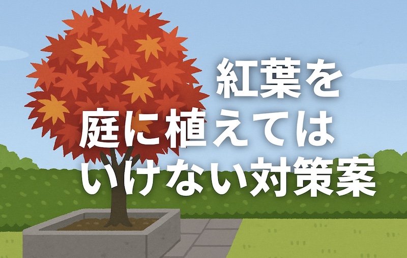 紅葉を庭に植えてはいけない対策案