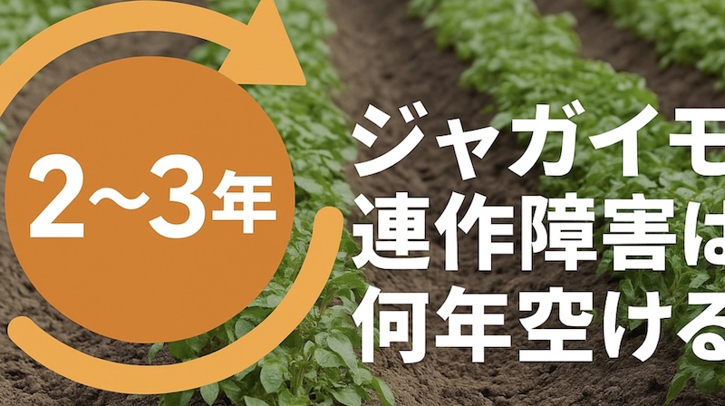 ジャガイモの連作障害は何年空ける?