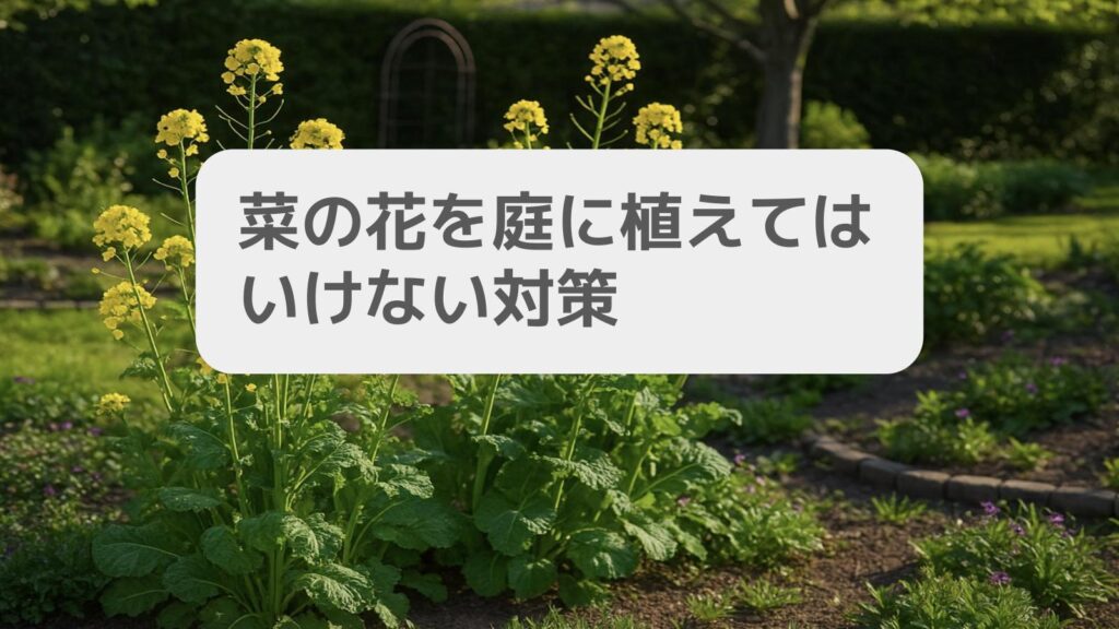 菜の花を庭に植えてはいけない対策
