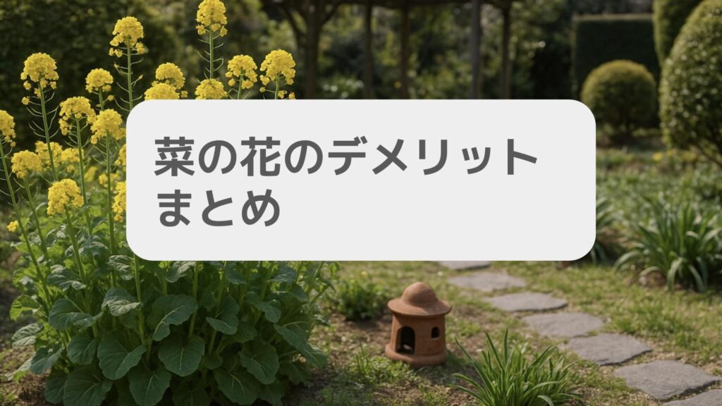 菜の花のデメリットまとめ