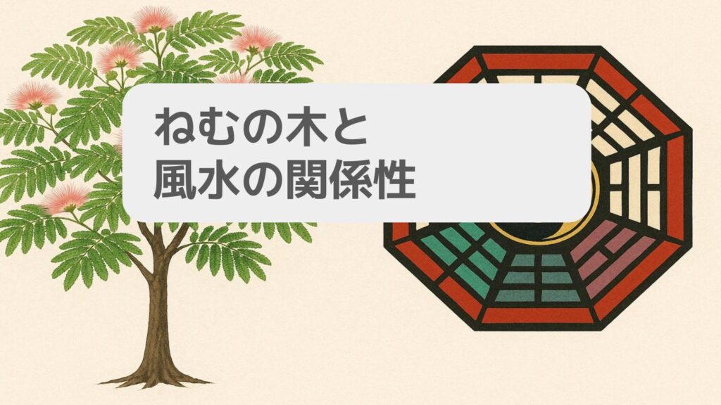 ねむの木と風水の関係性