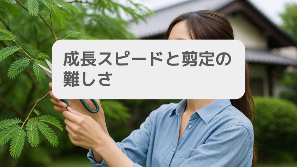 成長スピードと剪定の難しさ